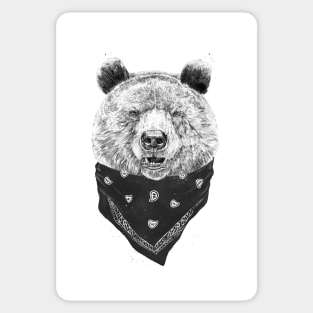 Wild bear Sticker